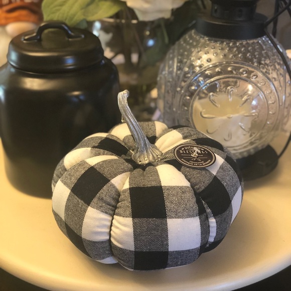 Buffalo Check Fabric Pumpkin - Picture 2 of 4
